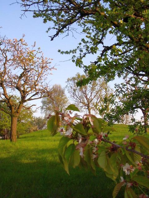 Ansichten Fr&uuml;hjahr 2006