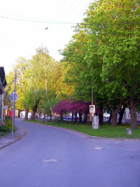 Ansichten Fr&uuml;hjahr 2006