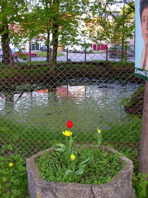 Ansichten Fr&uuml;hjahr 2006