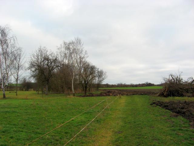 Ansichten Fr&uuml;hjahr 2007