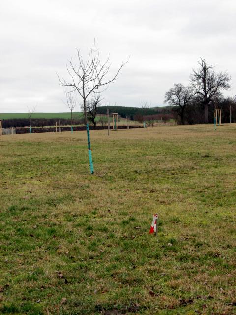 Ansichten Fr&uuml;hjahr 2007