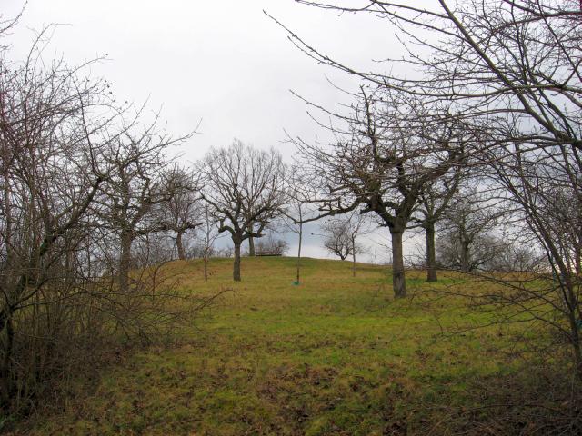 Ansichten Fr&uuml;hjahr 2007