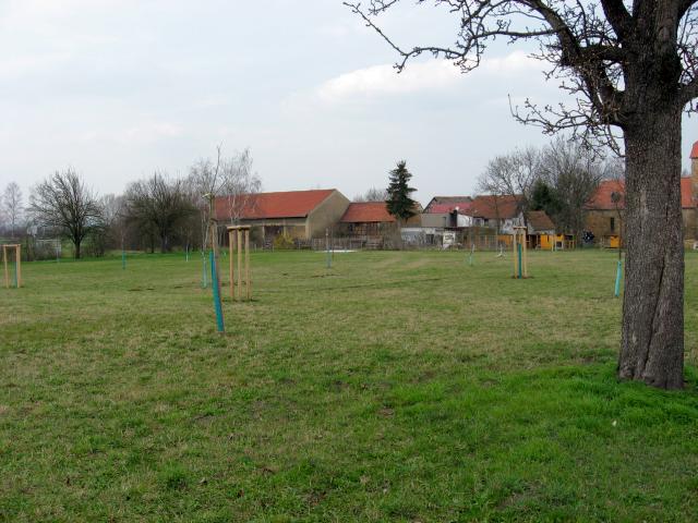 Ansichten Fr&uuml;hjahr 2007