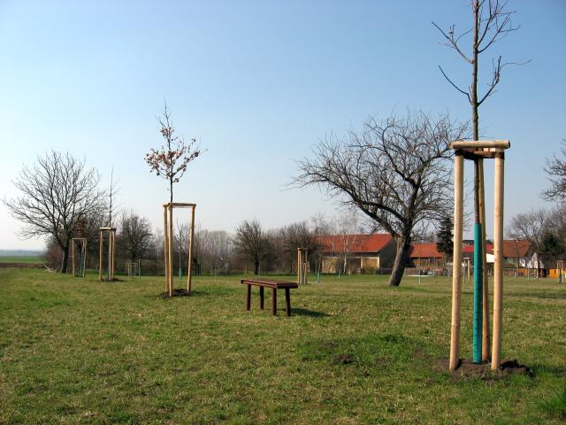 Ansichten Fr&uuml;hjahr 2007