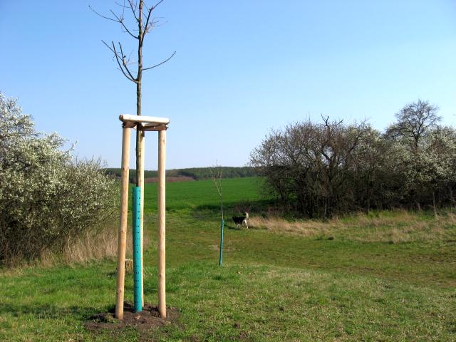 Ansichten Fr&uuml;hjahr 2007