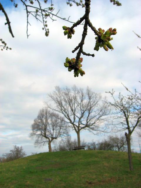 Ansichten Fr&uuml;hjahr 2007