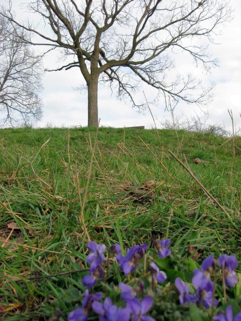 Ansichten Fr&uuml;hjahr 2007