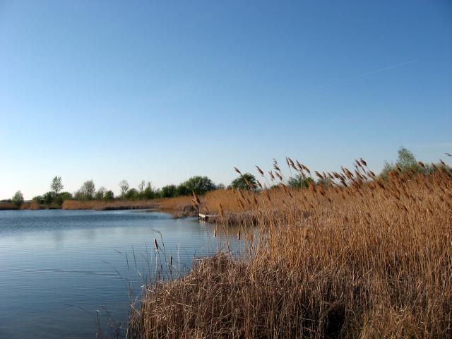 Ansichten Fr&uuml;hjahr 2007