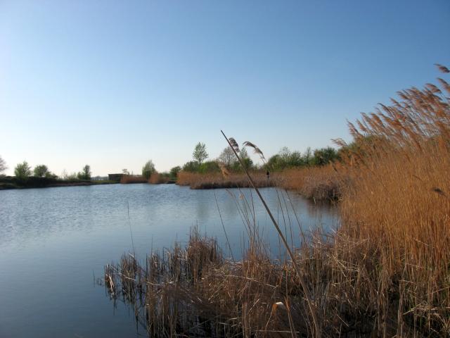 Ansichten Fr&uuml;hjahr 2007