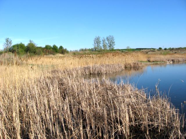 Ansichten Fr&uuml;hjahr 2007