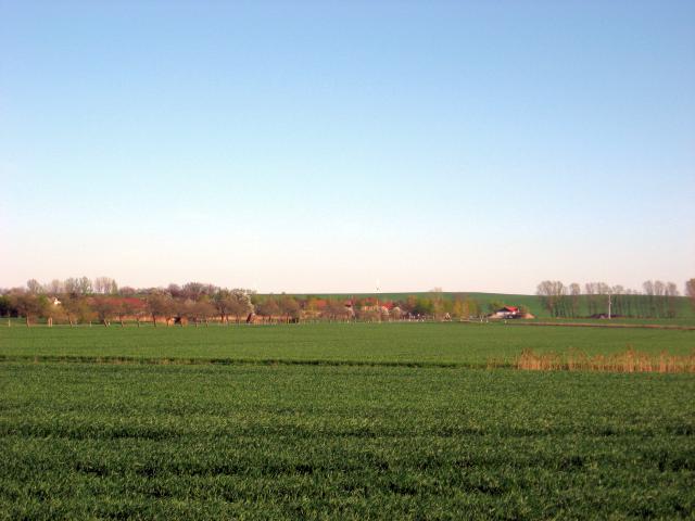 Ansichten Fr&uuml;hjahr 2007