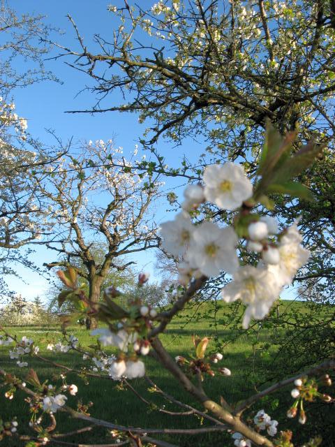Ansichten Fr&uuml;hjahr 2007