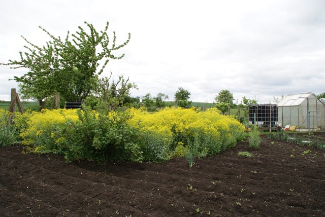 Fr&uuml;hlingsansichten 2012