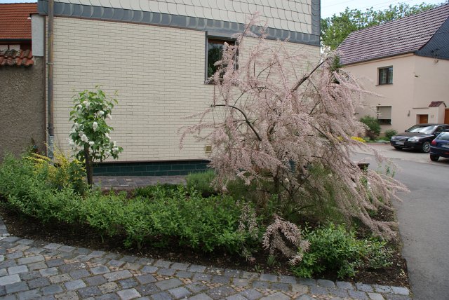 Fr&uuml;hlingsansichten 2012