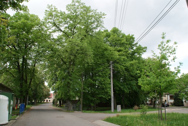 Fr&uuml;hlingsansichten 2012