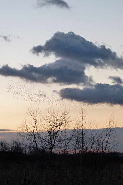 Fr&uuml;hlingsansichten 2012