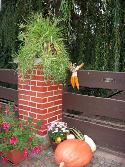 Ansichten Herbst 2006