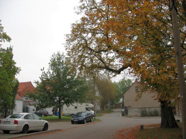 Ansichten Herbst 2006