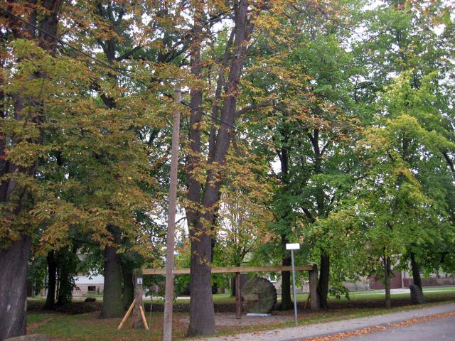 Ansichten Herbst 2006