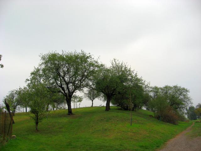 Ansichten Herbst 2006