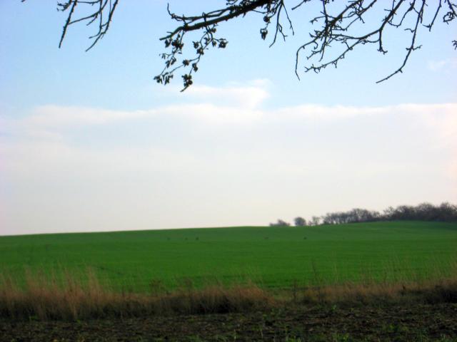 Ansichten Herbst 2006