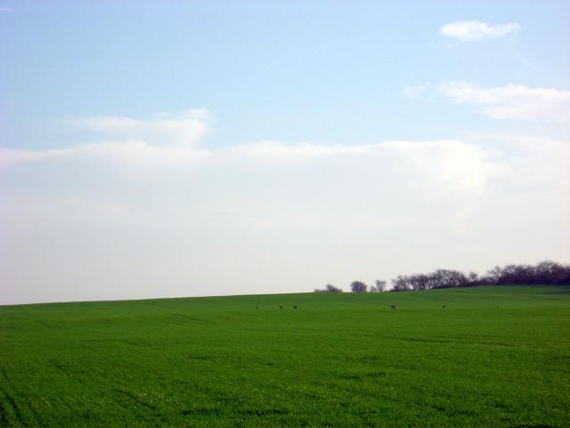 Ansichten Herbst 2006