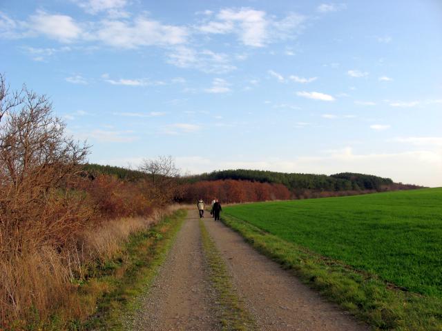 Ansichten Herbst 2006