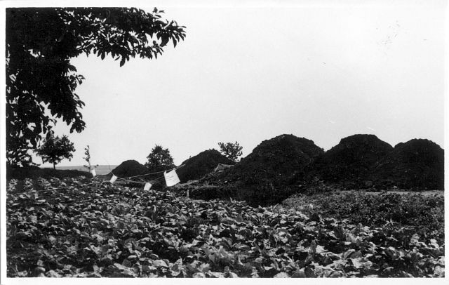 Ausgrabung auf dem Anger 1969