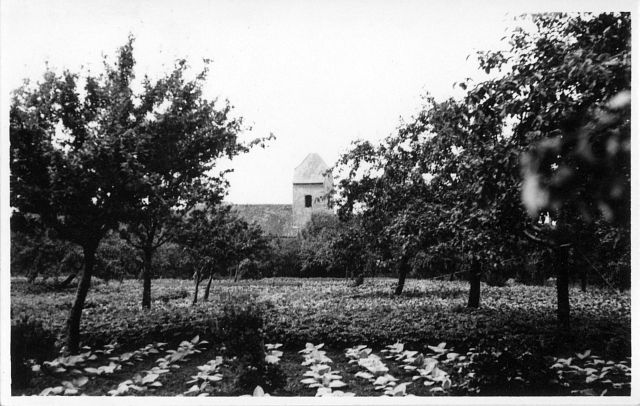 Ausgrabung auf dem Anger 1969