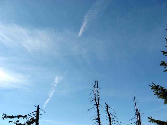 Feuerwehrausflug in den Harz