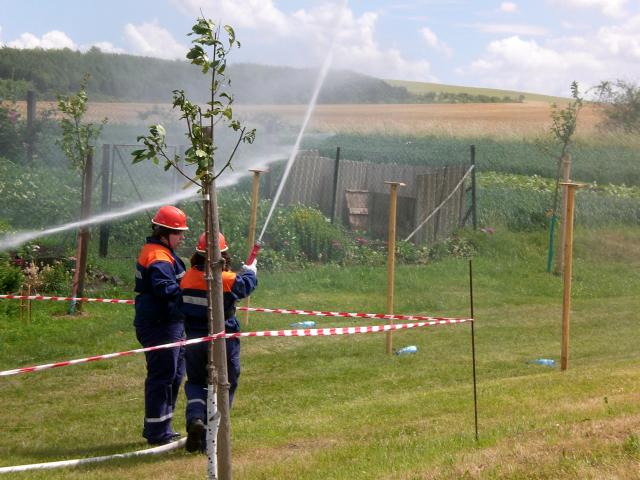 Feuerwehrausscheid 2007