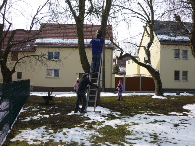 Fr&uuml;hjahrsputz 2013