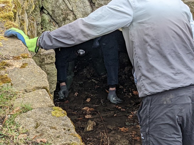 Fr&uuml;hjahrsputz und Bornreparatur