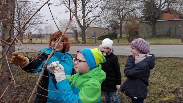 Nistkastenpflege der Gartenkinder