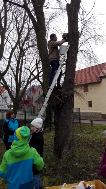 Nistkastenpflege der Gartenkinder