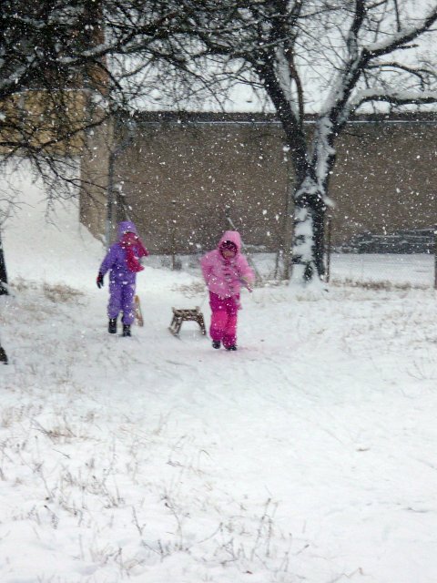 Schlittenfahren Anfang 2013
