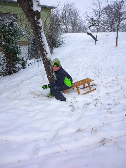 Schlittenfahren Anfang 2013