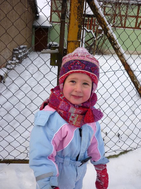 Schlittenfahren Anfang 2013