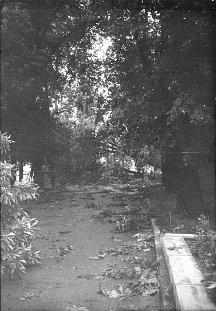 Nach dem Sturm (1980)