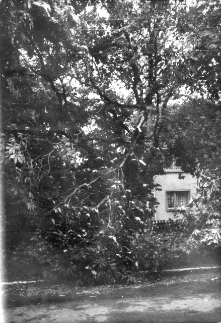 Nach dem Sturm (1980)