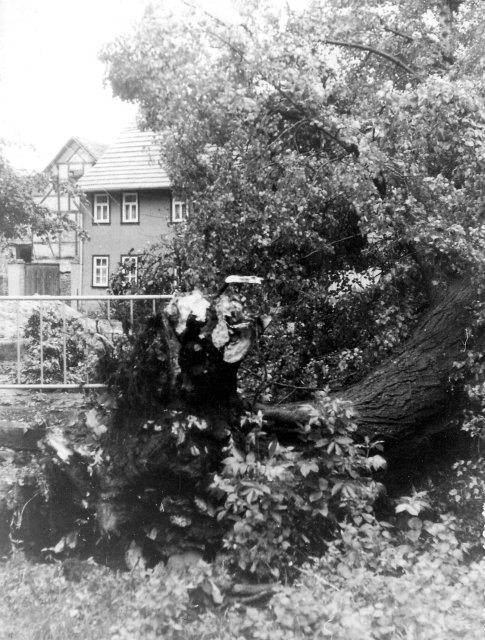 Nach dem Sturm (1980)