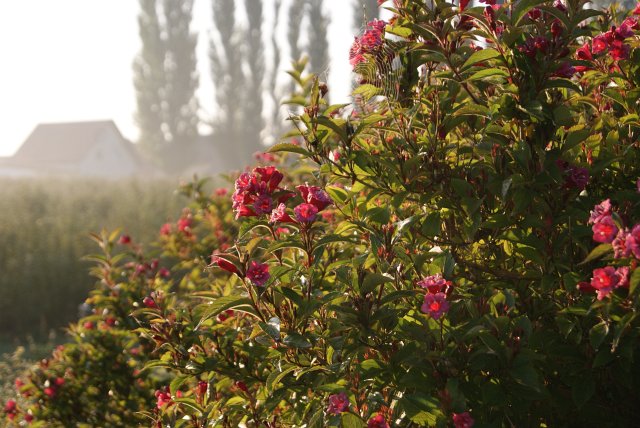 Ausflug an die dt.-dt. Grenze