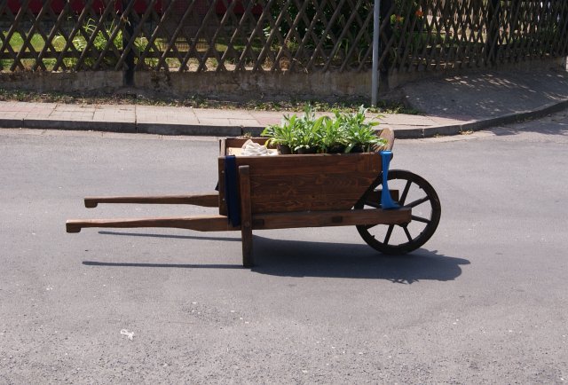 Umzug in Bad Tennstedt 2015