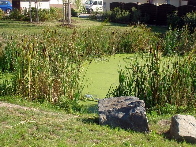 Umzug Wenigens&ouml;mmern 2006