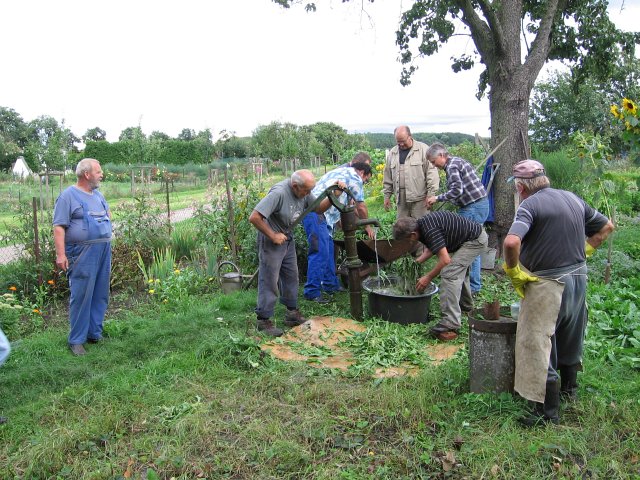 Waidernte und Vorbereitung des Waidm&uuml;hlenfests&nbsp;2010