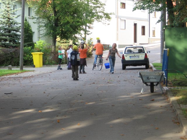 Waidernte und Vorbereitung des Waidm&uuml;hlenfests&nbsp;2010