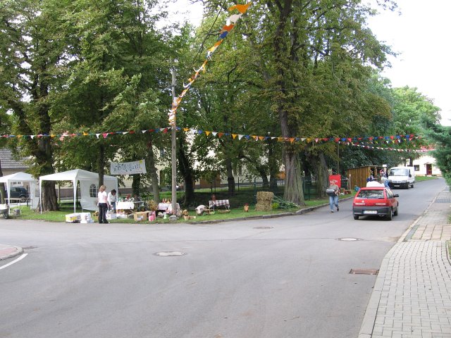 Waidernte und Vorbereitung des Waidm&uuml;hlenfests&nbsp;2010