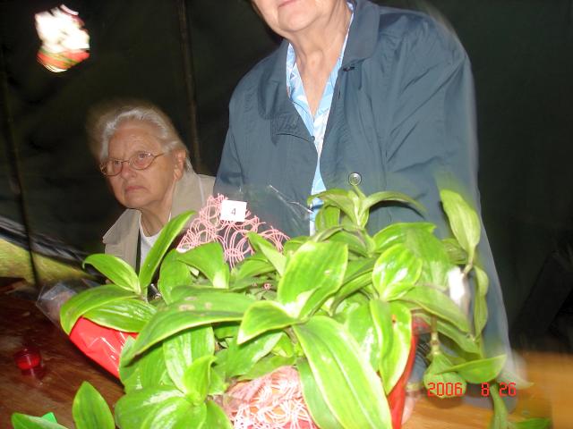 Waidm&uuml;hlenfest 2006