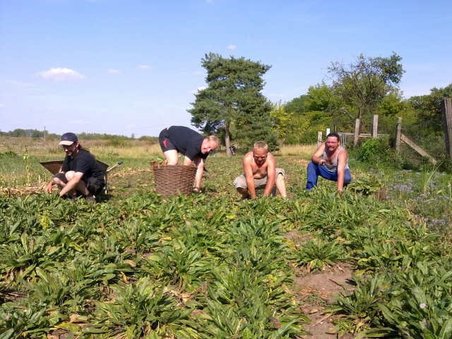 7. Waidm&uuml;hlenfest 2012