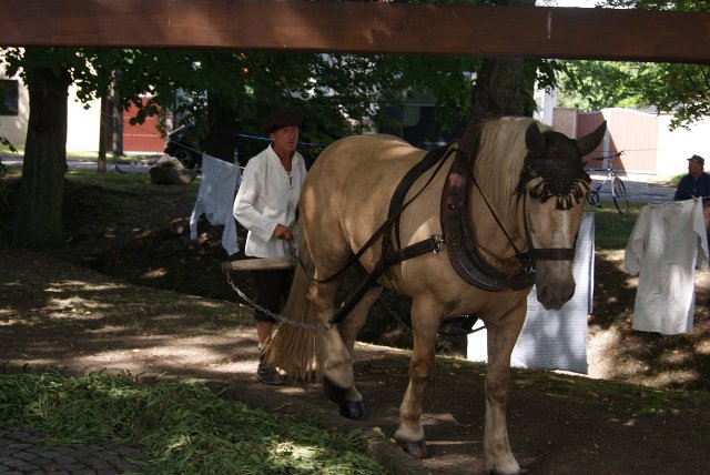 7. Waidm&uuml;hlenfest 2012